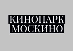 Иммерсивное шоу о битве за Москву в Москино