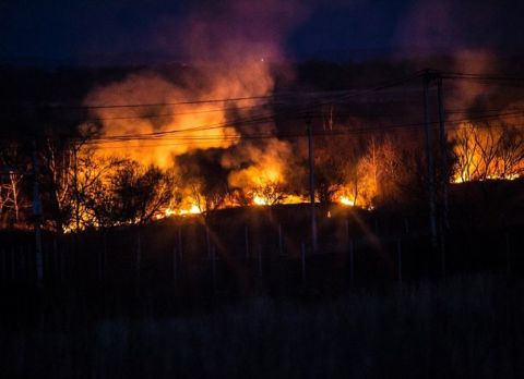Потепление и угроза пожаров: глава Приморского УГМС дал прогноз