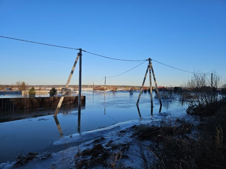 В зоне затопления в Томской области находятся более 300 приусадебных участков
