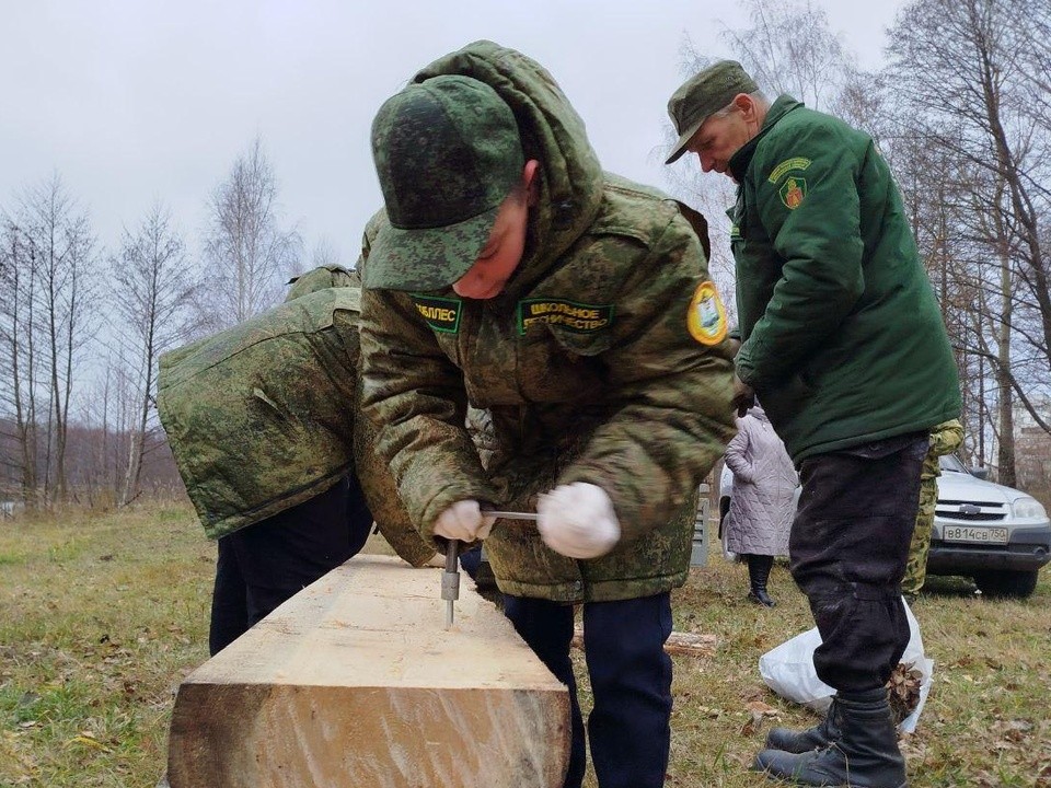 Юные лесоводы смастерили лавочки из валежника и установили их в парке