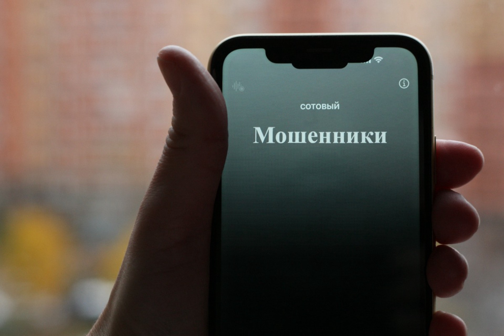 Мошенники украли у матери погибшего героя СВО миллионы рублей