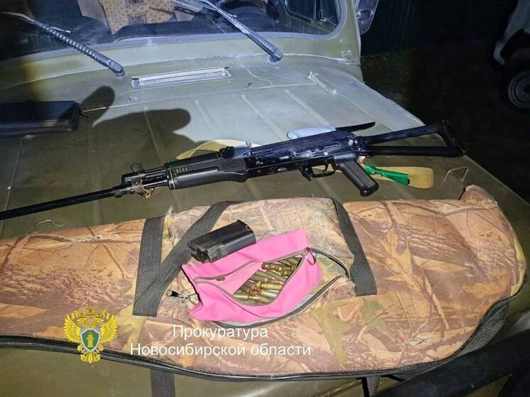 За незаконный отстрел лосихи осудят охотника из Новосибирской области