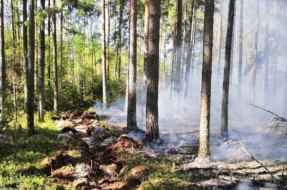 Этим летом в Ивановской области потушили два лесных пожара