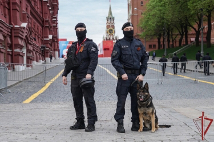 Росгвардия приняла участие в обеспечении общественной безопасности в День Победы