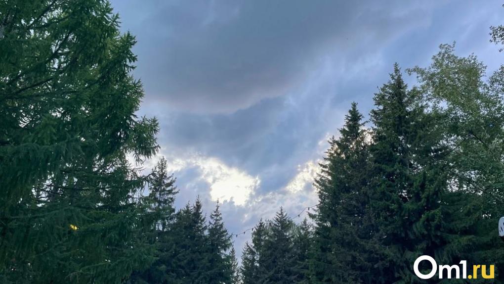 В Омске планируют установить памятник бывшему гендиректору ПО «Полёт»