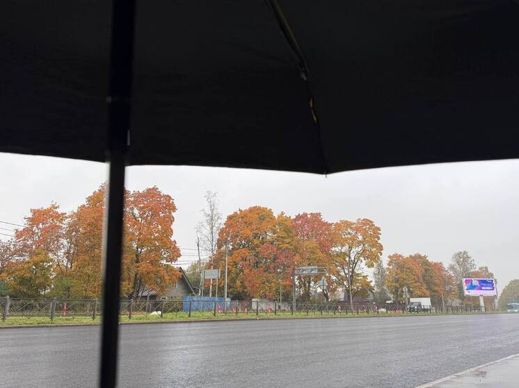 Калининградцам пообещали короткую передышку от дождей