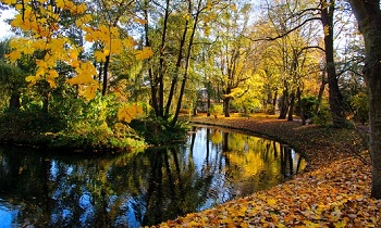 Что шепчет осень?