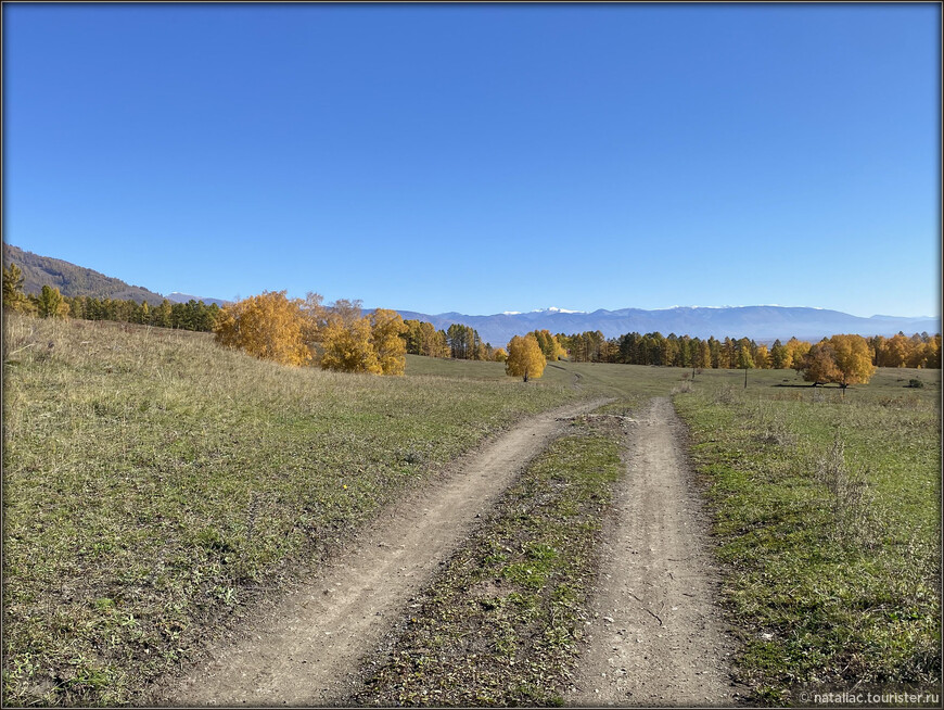 «Осенние краски Уймонской долины». Прощальный день: на гору Маяк с закрытыми глазами, посиделки на берегу Катуни и у костра в ночи 