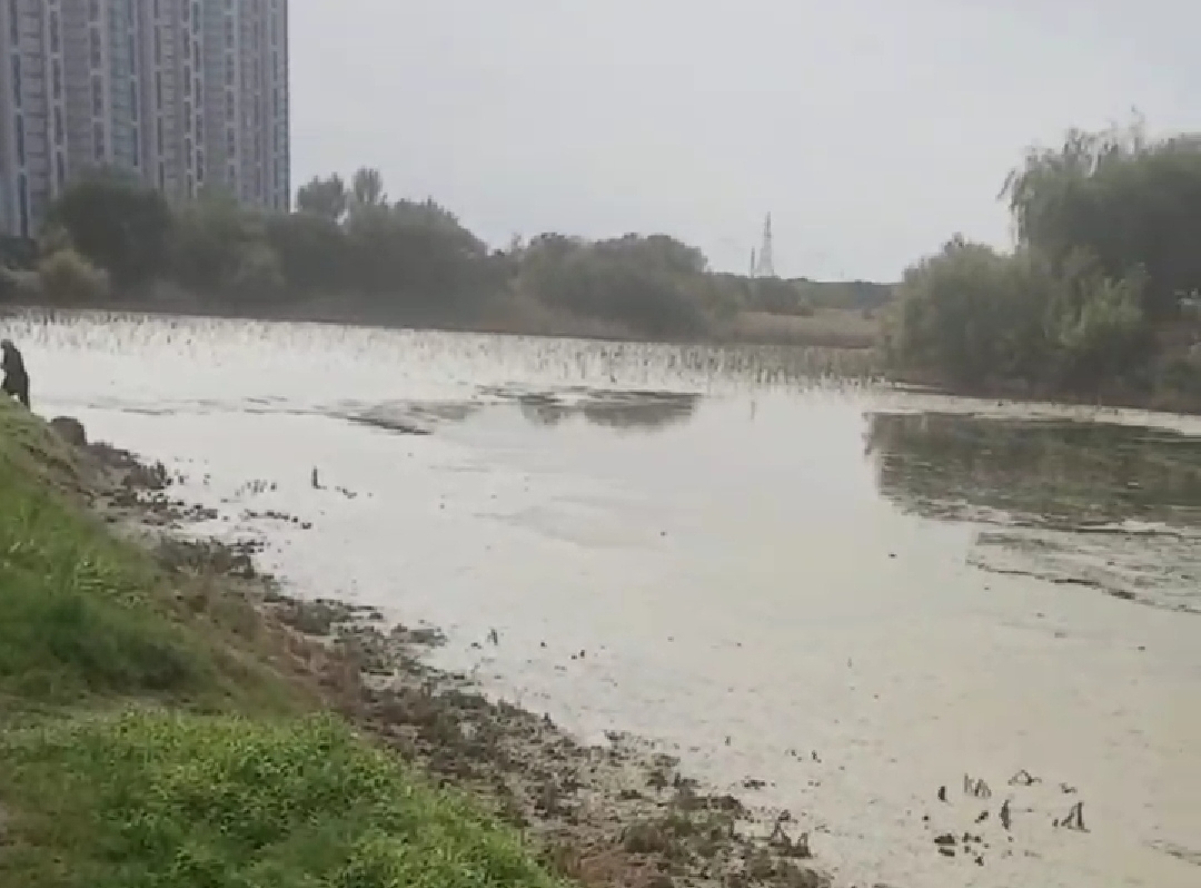 Наводнение в болотах. Затопило пруд. Река тагил венеция. Затопило пруд. Затопило пруд.