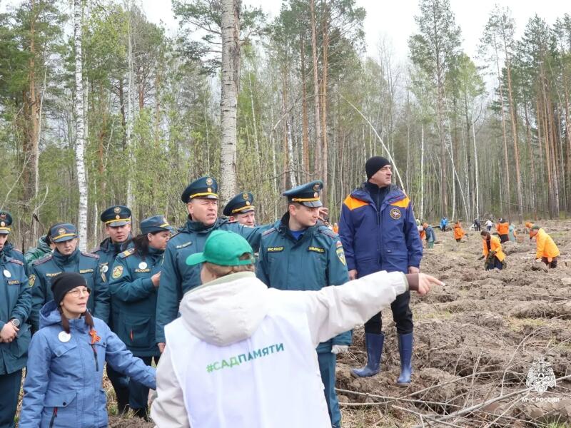 Томские спасатели посадили деревья в честь героев Великой Отечественной войны