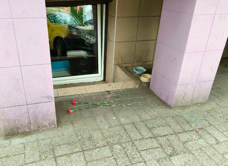 гвоздика.jpg