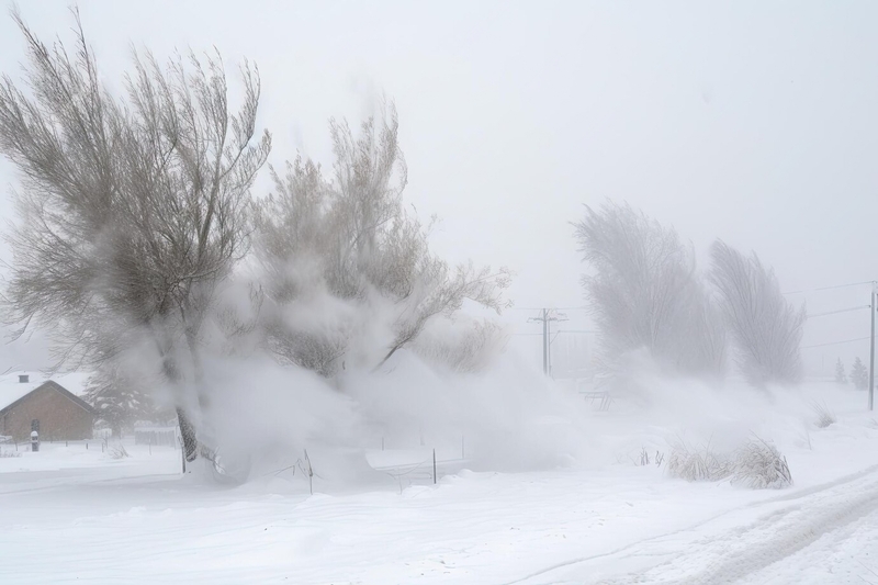 Курган и Шадринск готовятся к похолоданию и снегу | В Кургане и Шадринске похолодает до -9°C после снегопада