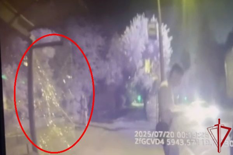 В Пушкине сотрудники Росгвардии задержали хулигана, повредившего остановку общественного транспорта