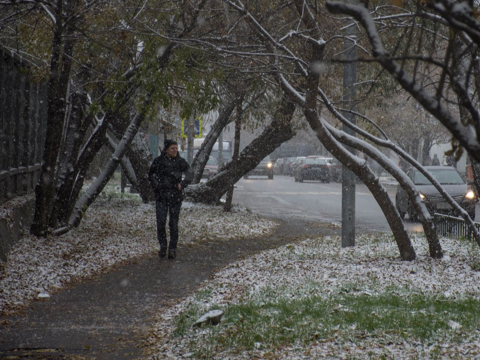 Резкое похолодание со снегом надвигается на Подмосковье: погода изменится с 11 ноября