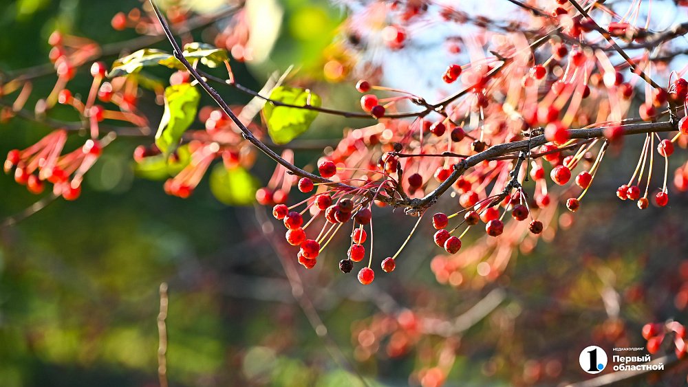Солнечным и холодным выдастся день 4 ноября в Челябинской области