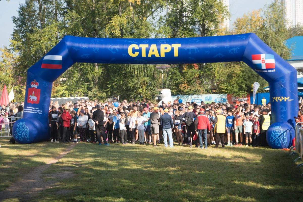 кросс