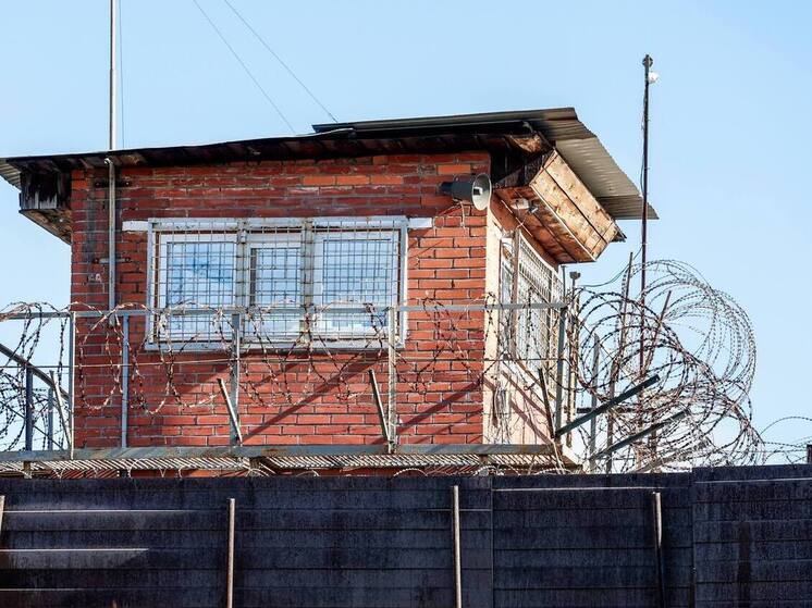 Водителя грузовика из Челябинска осудили за погибшего в ДТП мотоциклиста