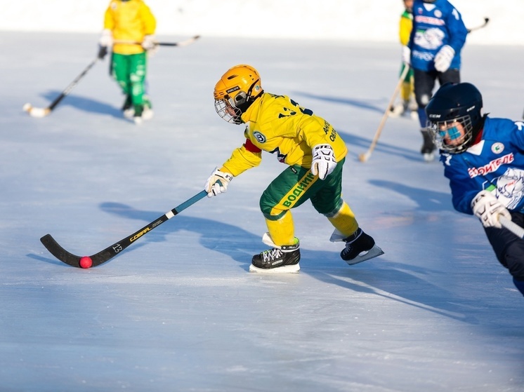 «Vodnik open» завершит зимний сезон юных хоккеистов