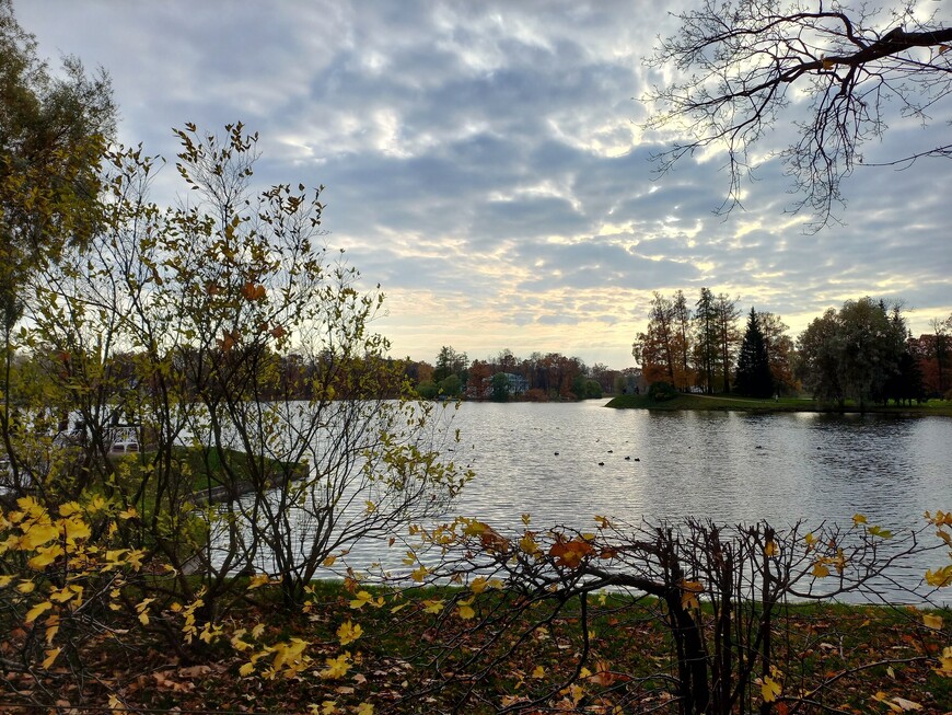 Санкт-Петербург. Царское село. Как я «Другом Петербурга» была