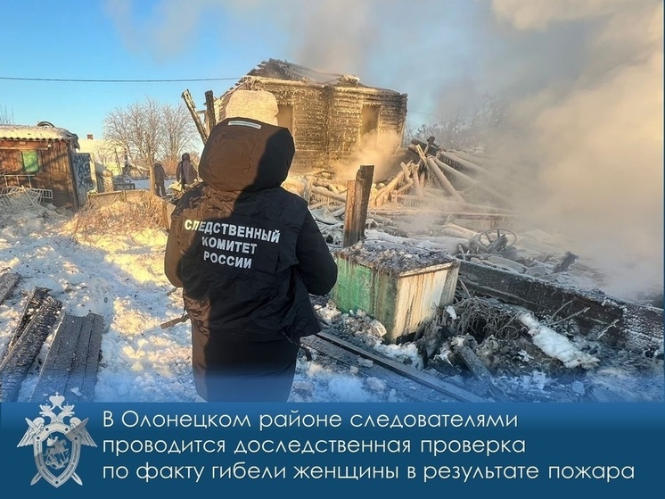 Следователи начали проверку по факту смертельного пожара в Олонецком районе