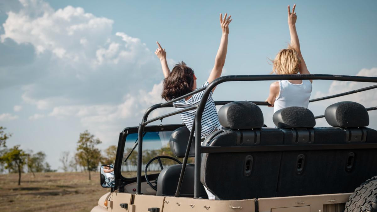 Девушки путешествуют на машине