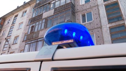 В Прилузском районе вынесен приговор жителю Сыктывкара, напавшему с ножом на коллегу