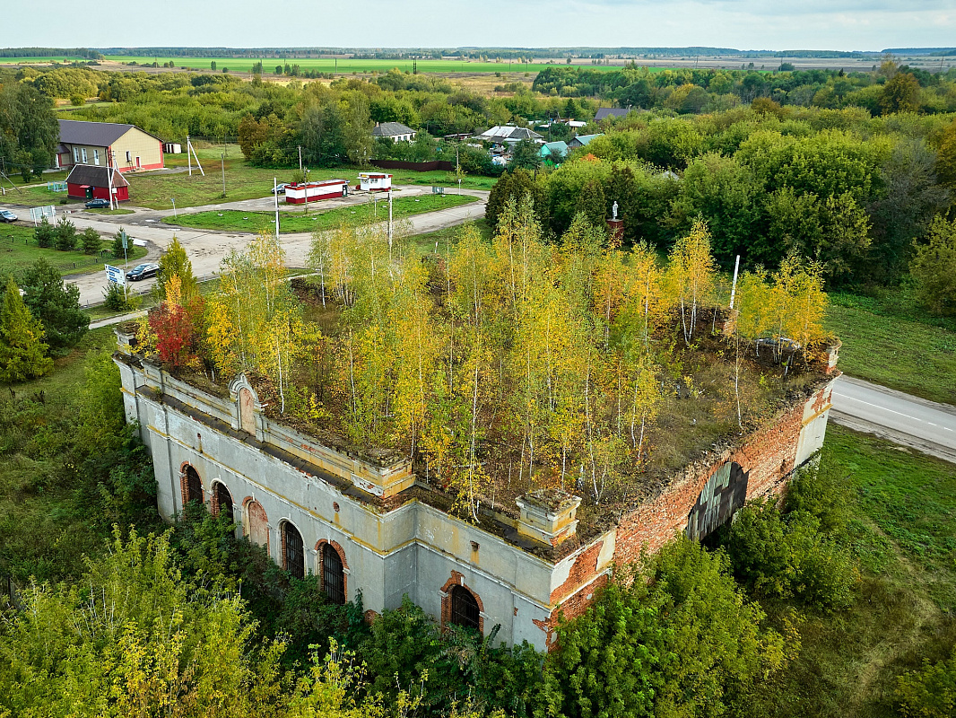 Николовысоковская Церковь Рязань. Горлово Рязанская область. Рязанская Губерния постройки. Совхоз им Мичурина Скопинского района.