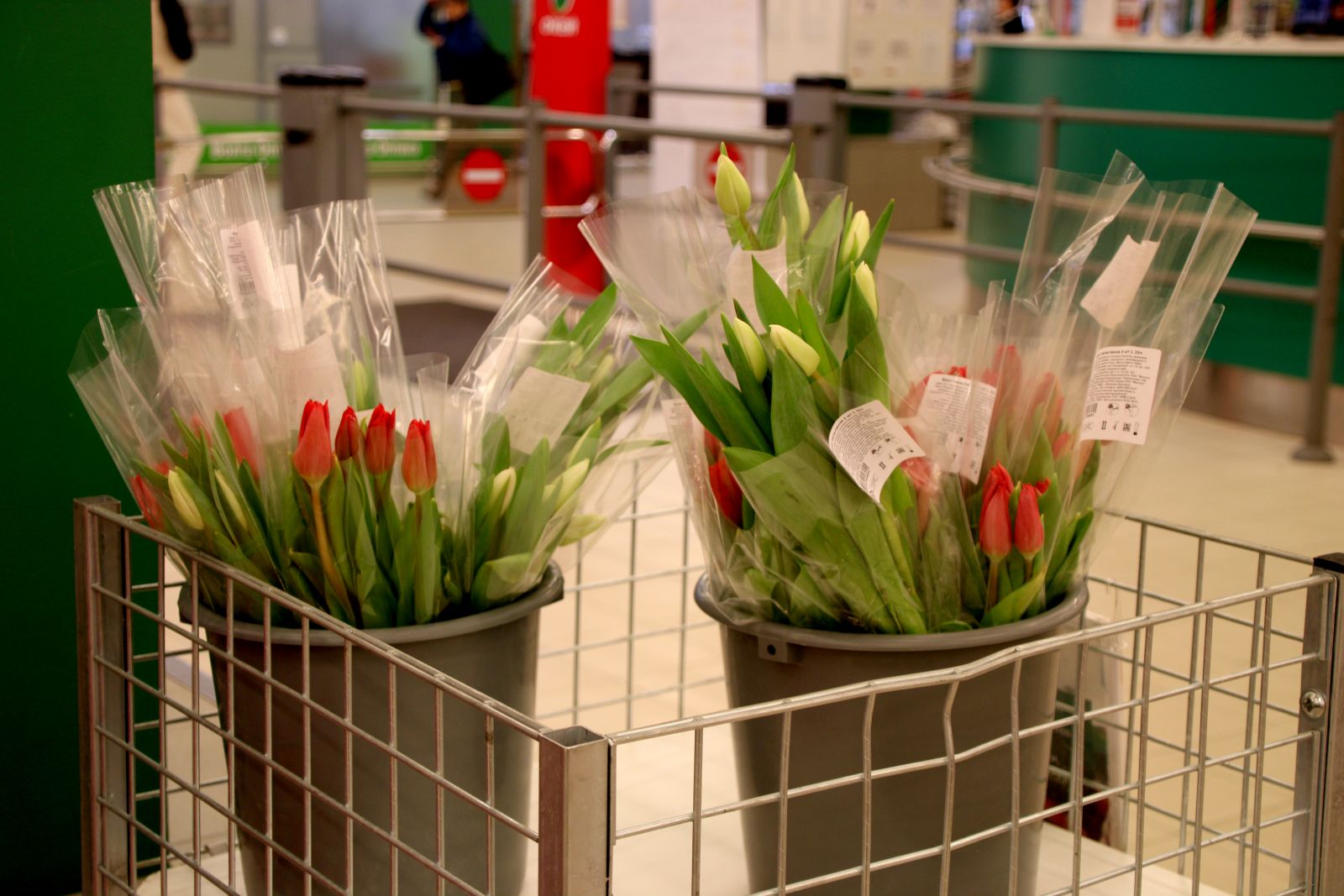 Подрезать тюльпаны. Тюльпаны долго стоят в вазе с водой. Чтобы тюльпаны дольше стояли в вазе. Чтобы тюльпаны дольше простояли. Сколько по времени стоят тюльпаны в воде