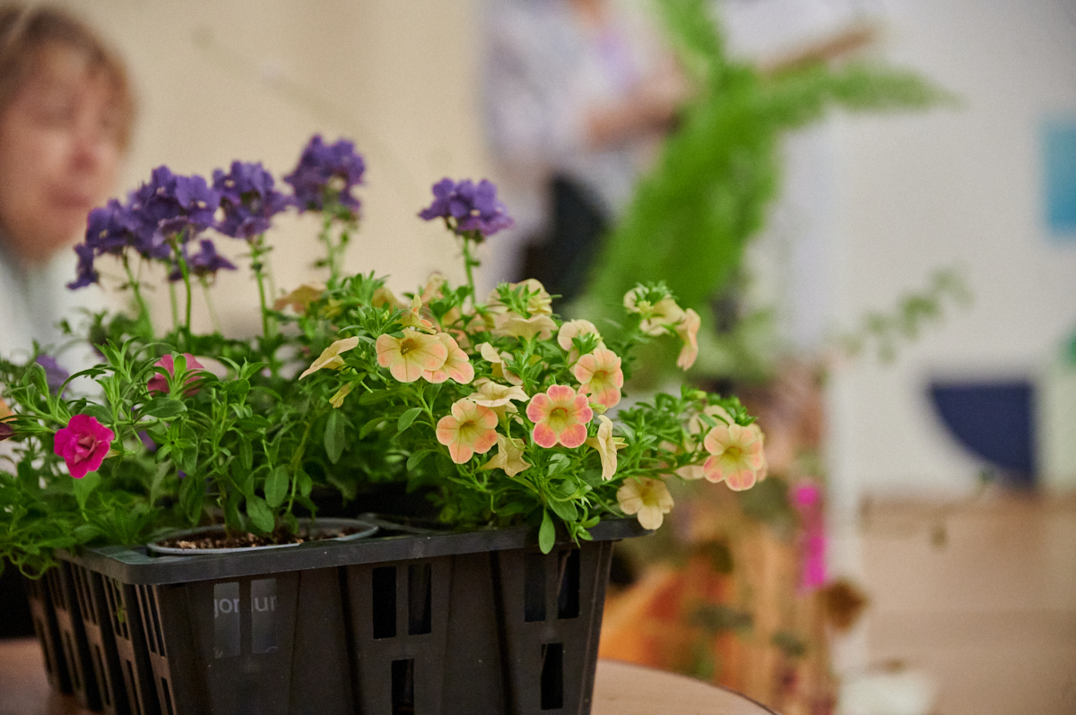 Фото: Никита Печеник