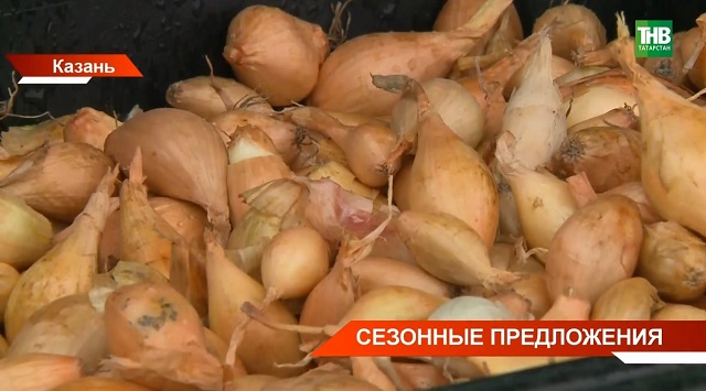 Сезонные предложения: исчезли ли очереди на яйца в Казани, и что заняло их место по популярности