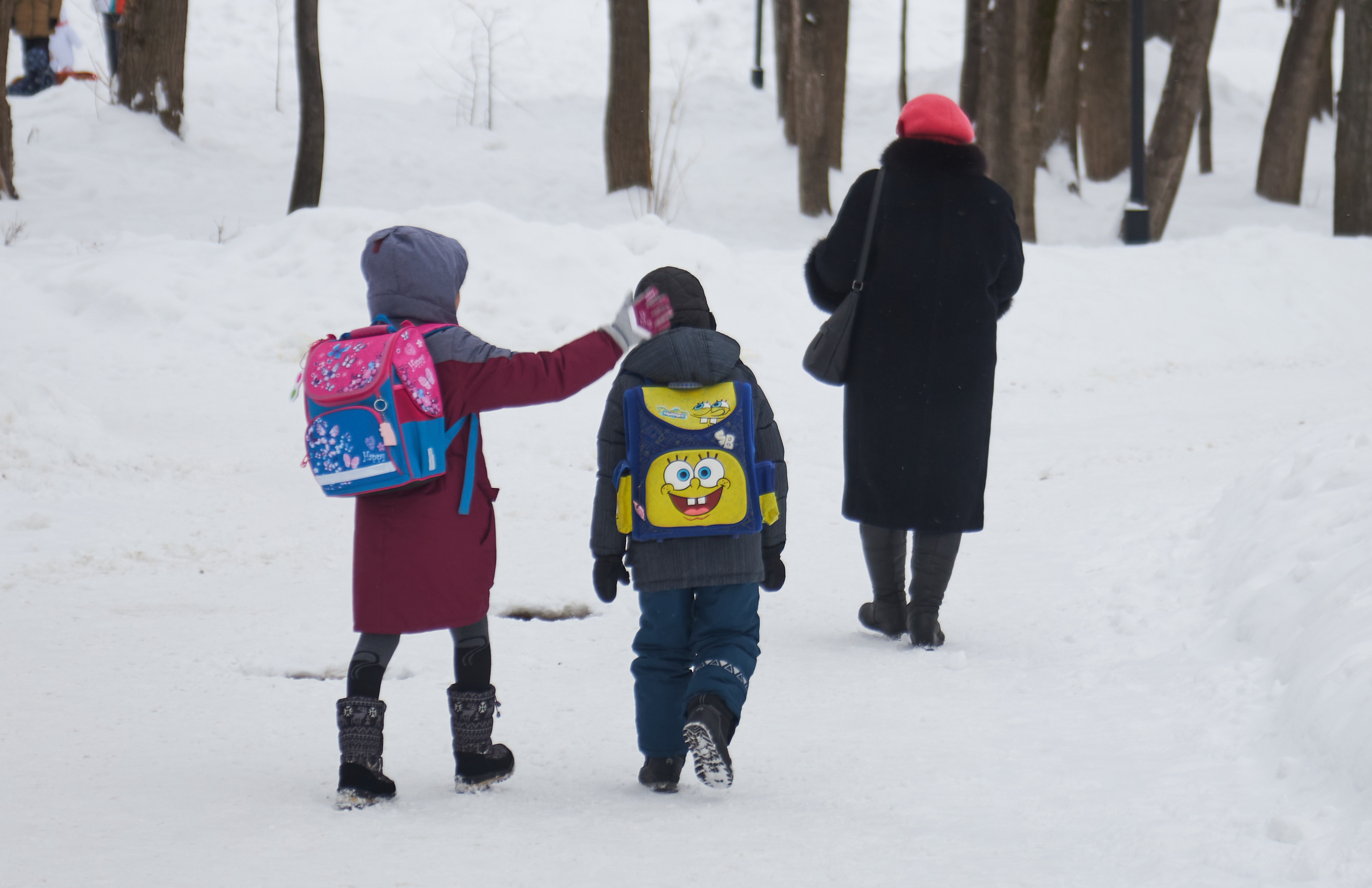 В виду сильных морозов занятия отменены. Дети идут в школу в Мороз. Дети идут 12 января. Каникулы из за Морозов. Дети идут в школу в сильный Мороз.