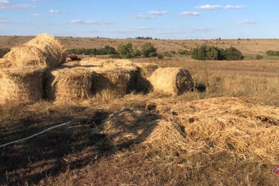 Волгоградец из мести сжег сено бывшего работодателя