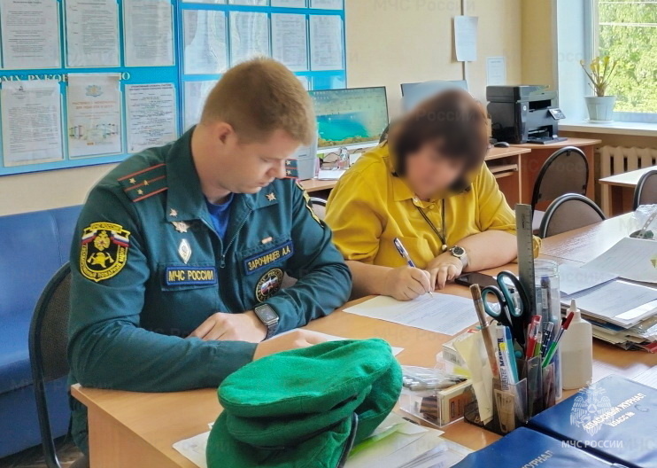 Отделы МЧС. Отдел собственной безопасности МЧС. Отдел надзорной деятельности и профилактической работы МЧС. Собственная безопасность работника.