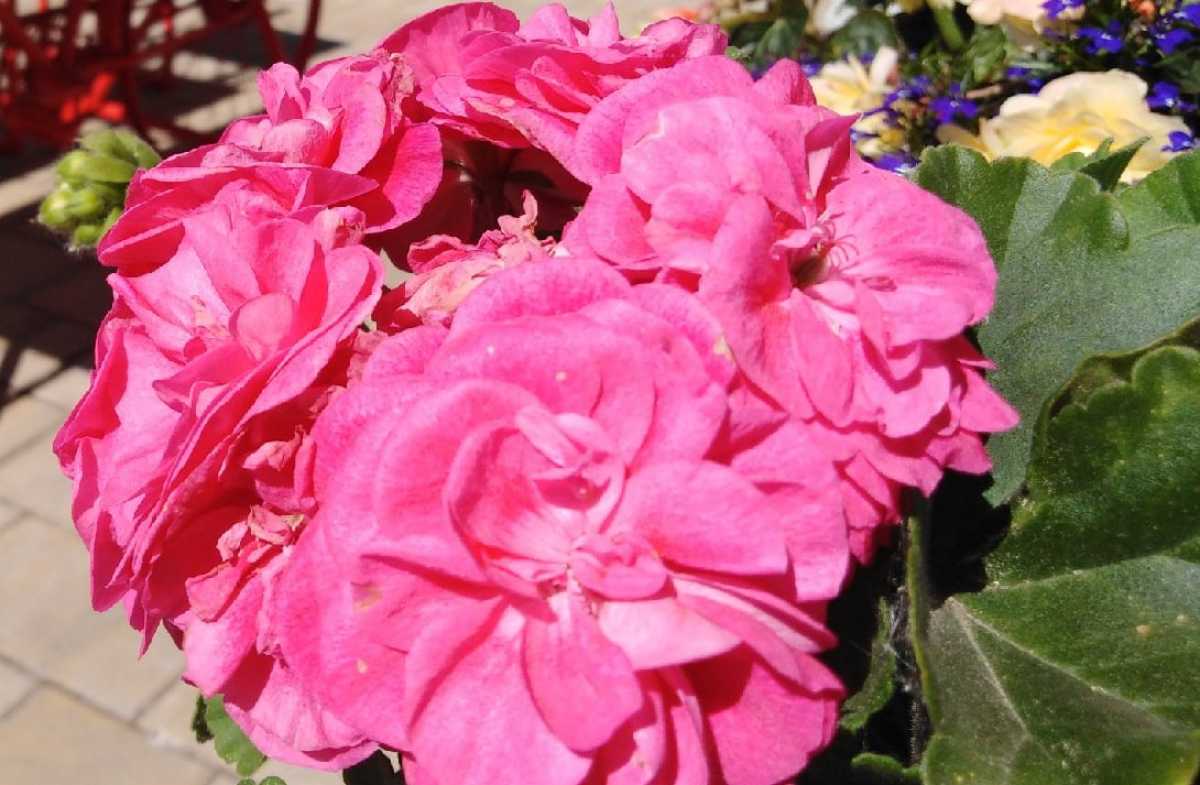 Проекты-победители предполагают благоустройство общественных территорий и образовательных учреждений.