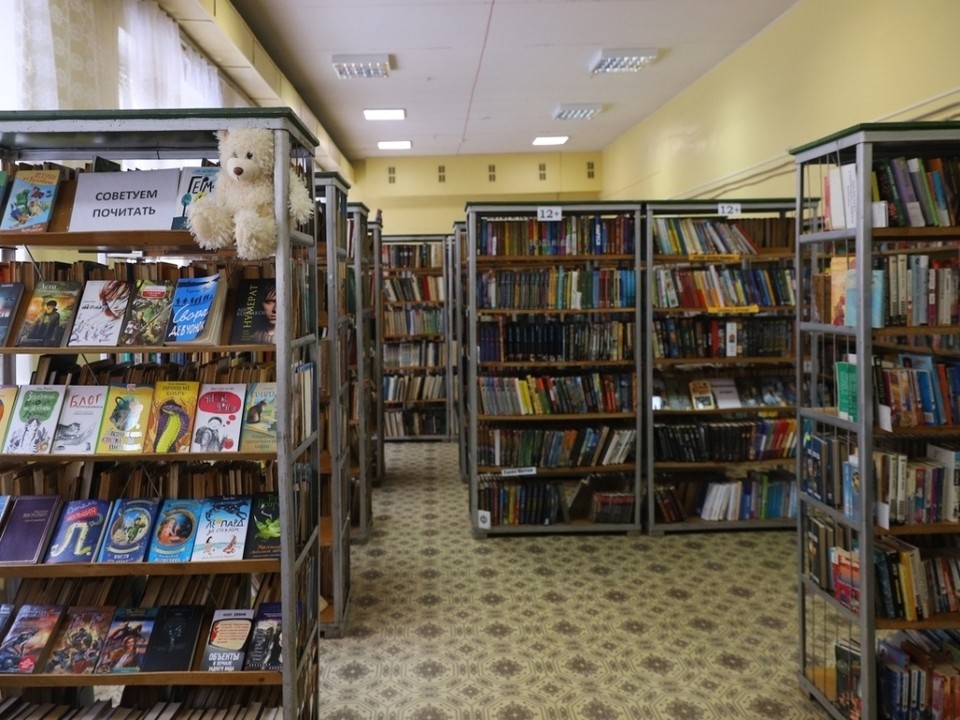 Жители Дзержинского смогут пользоваться библиотечными ресурсами онлайн