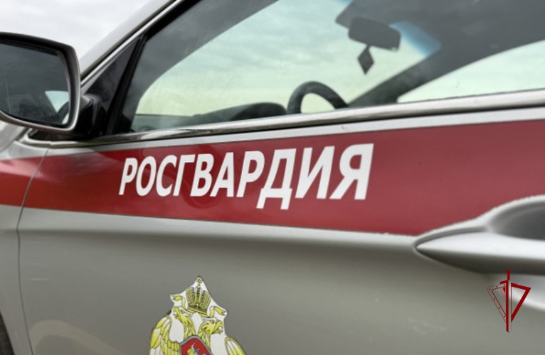 Ярославские росгвардейцы за прошедшую неделю совершили более 250 выездов по сигналам «тревога»