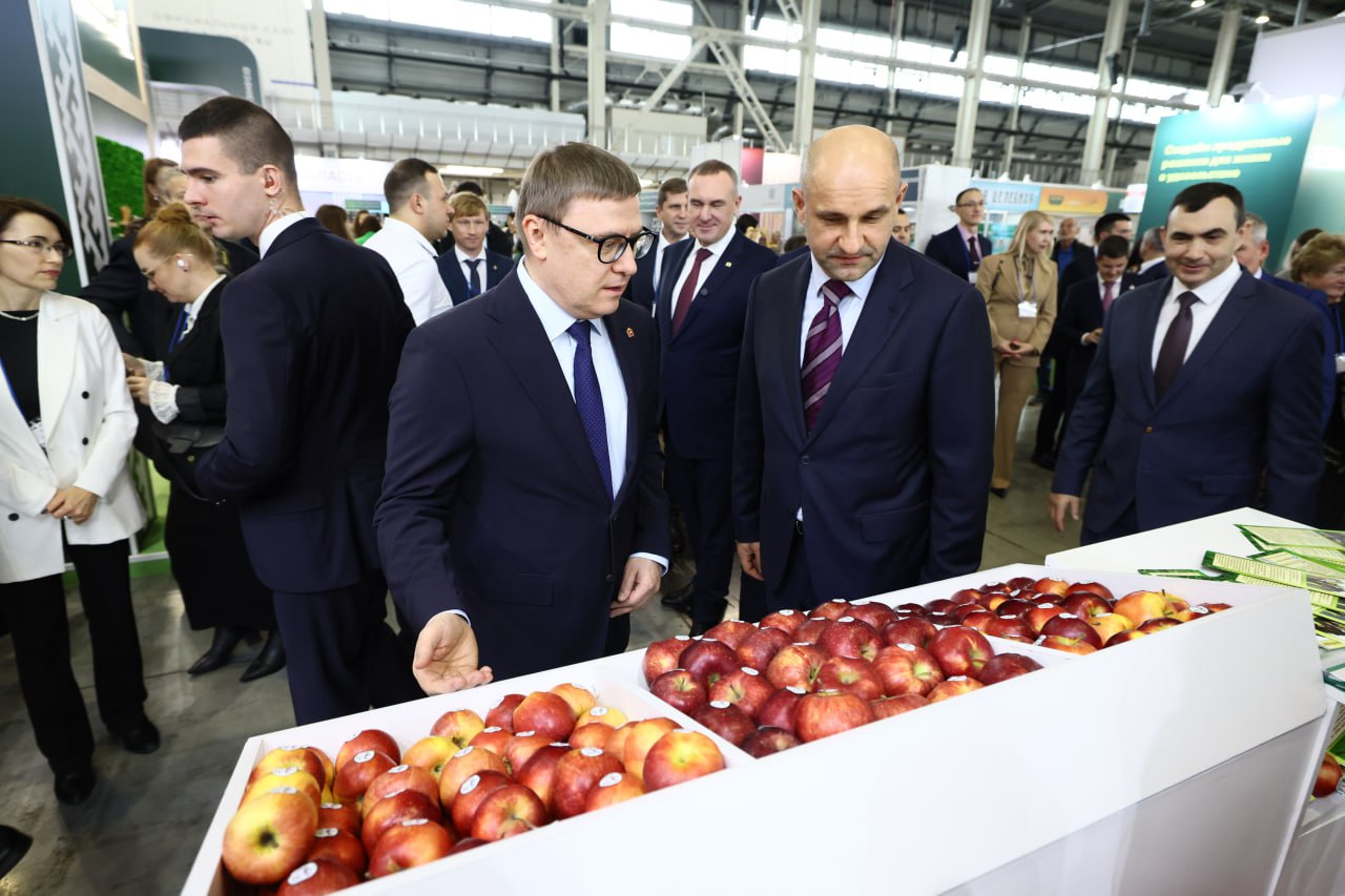 Открытие ключевых дорожных объектов и успехи аграриев стали главными событиями недели на Южном Урале