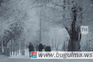 Какую обещают зиму в 2025 году. Какую обещают зиму в 2025 году