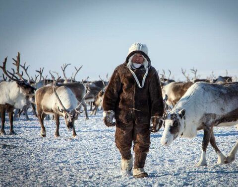 Заседание Совета Ассоциации «Оленеводы Мира» состоится в рамках Международного чемпионата по оленеводству в Якутии 