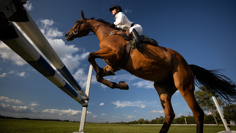 Федерация конного спорта России подала заявку на проведение отбора к Олимпиаде-2024