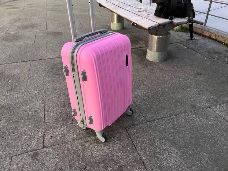 Несовершеннолетняя петербурженка везла в Италию экстремистскую литературу