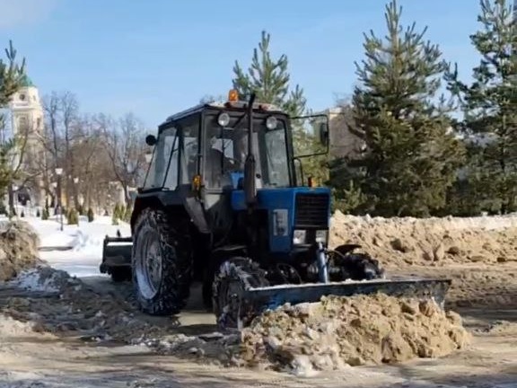 Фото: пресс-служба администрации Лосино-Петровского городского округа