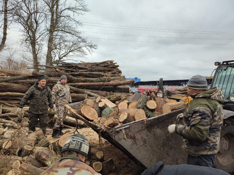 В Курской области стартовала акция по заготовке дров для военнослужащих