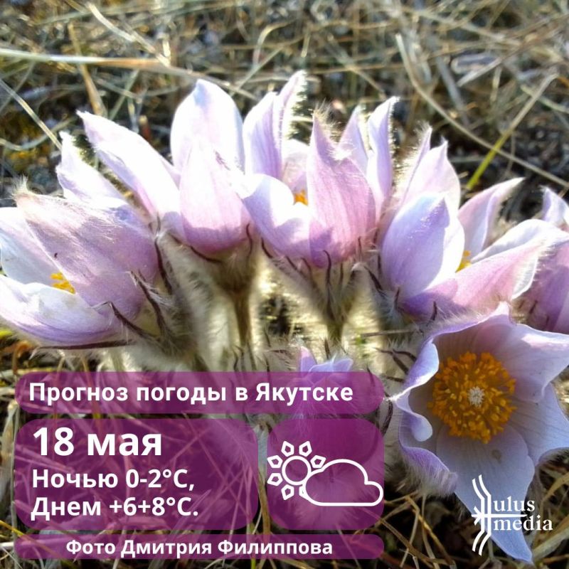 В ближайшие сутки, 18 мая, в Жиганском и ночью в Кобяйском, местами в Верхоянском, Эвено-Бытантайском районах ожидаются порывы северо-западного ветра 15-17 м/с. 