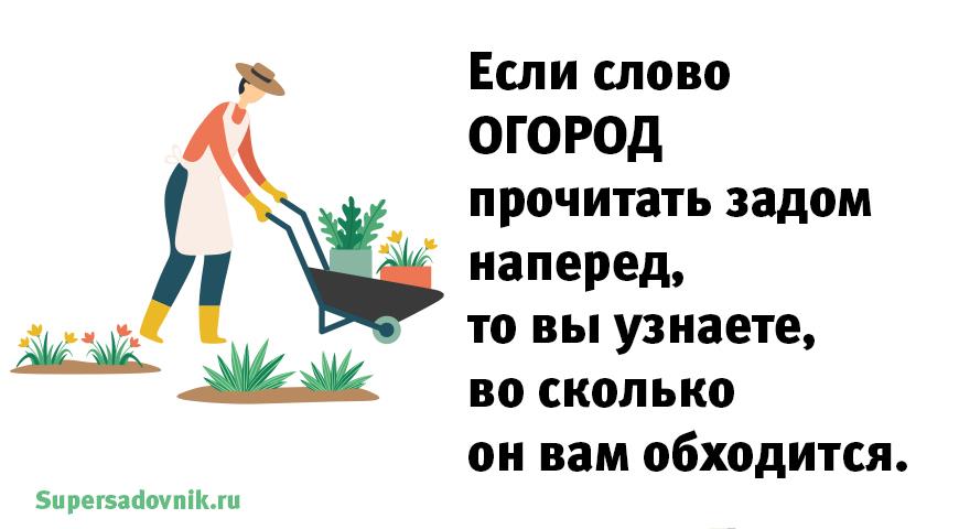 Моя мечта на этот год покрыть асфальтом огород прикольные картинки