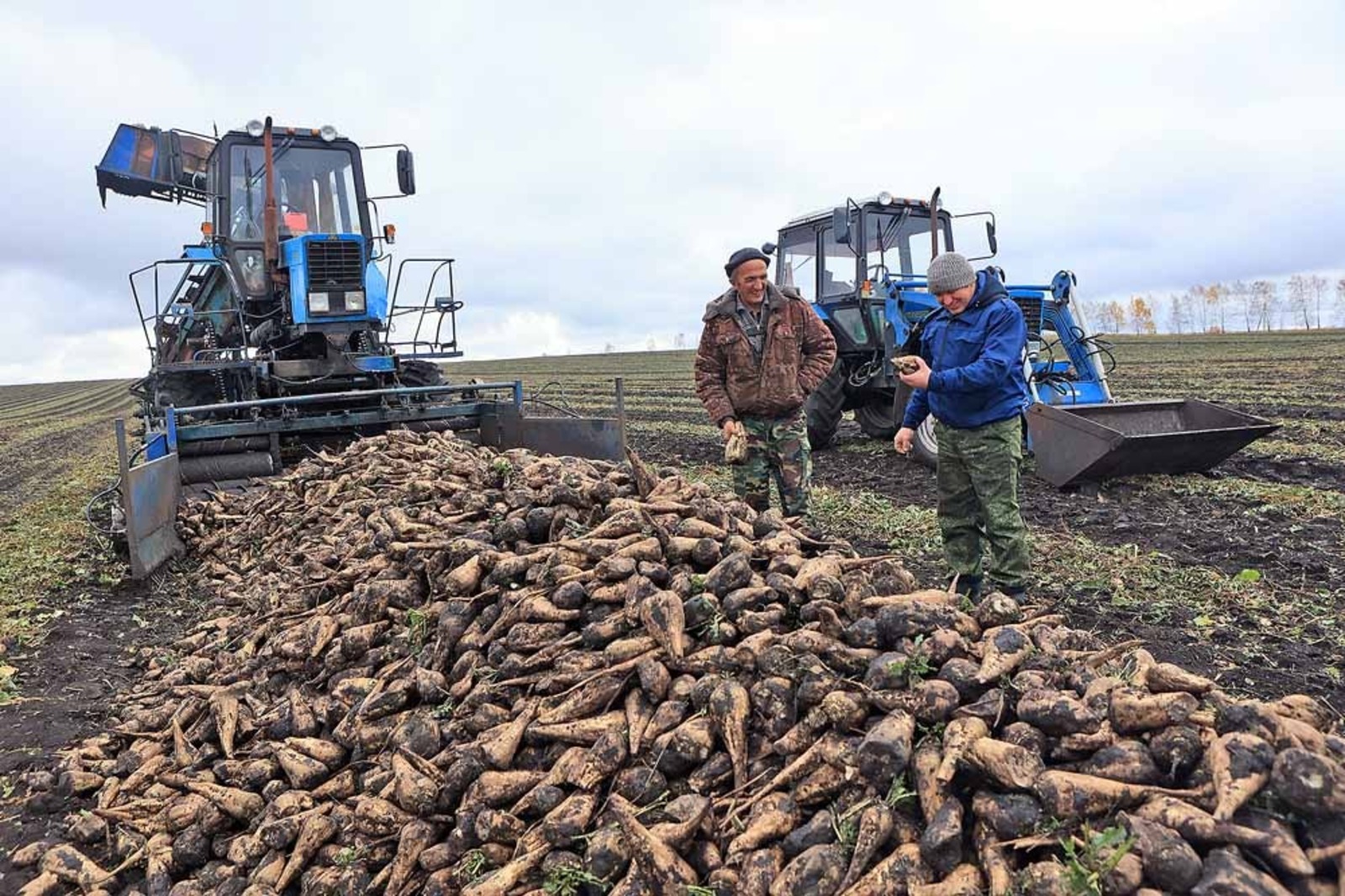 совхозы урала. спк красный урал. спк урал кармаскалинский. уборочная. колхоз спк дружба аургазинский район.