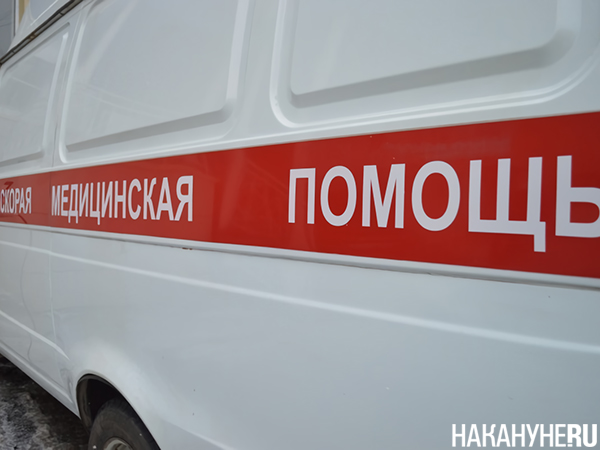 Фото: Накануне.RU