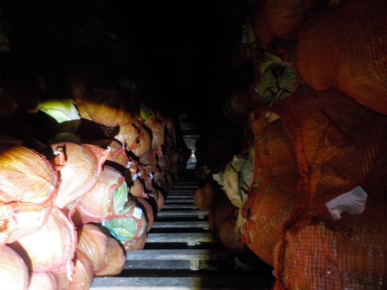 Почти 20 тонн капусты с «проблемной» маркировкой вернули из Омской области в Казахстан