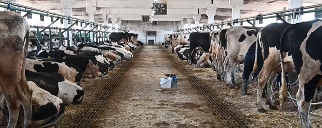 Директор ТУ «Рыболовское» Грачева обсудила с представителями «Вохринки» сельское хозяйство