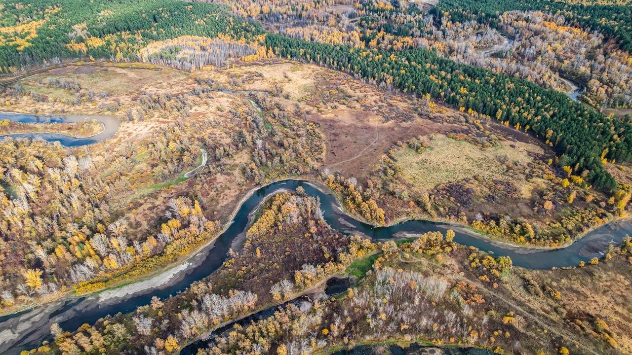 Фото Завораживающие виды. Опубликовано 90 кадров широких просторов Новосибирской области 88